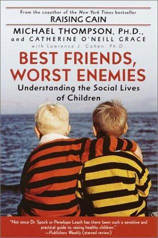 Best Friends, Worst Enemies book cover