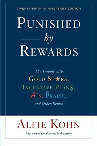 Punished book cover